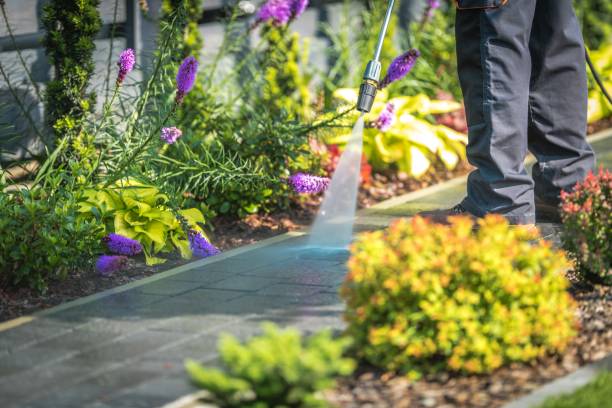 Mililani Mauka, HI Pressure Washing Services Company